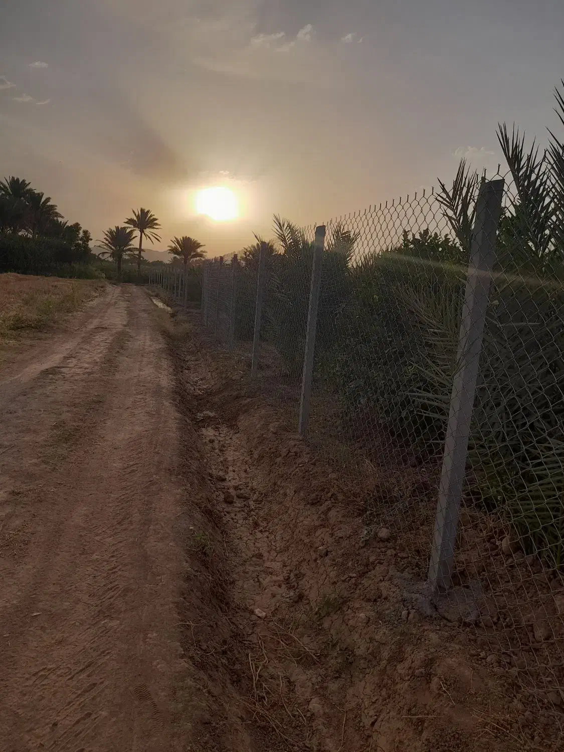 نصب فنس دور باغم با کلیه لوازم|خدمات باغبانی و درختکاری|قروه, |دیوار