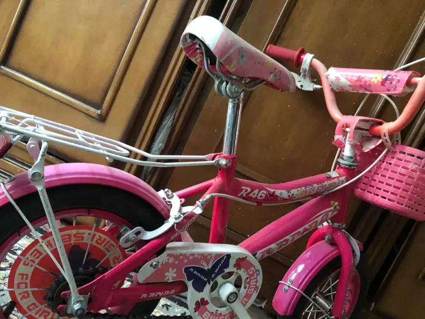 دوچرخه دخترانه تنه روسی|دوچرخه، اسکیت، اسکوتر|تهران, تهرانپارس غربی|دیوار