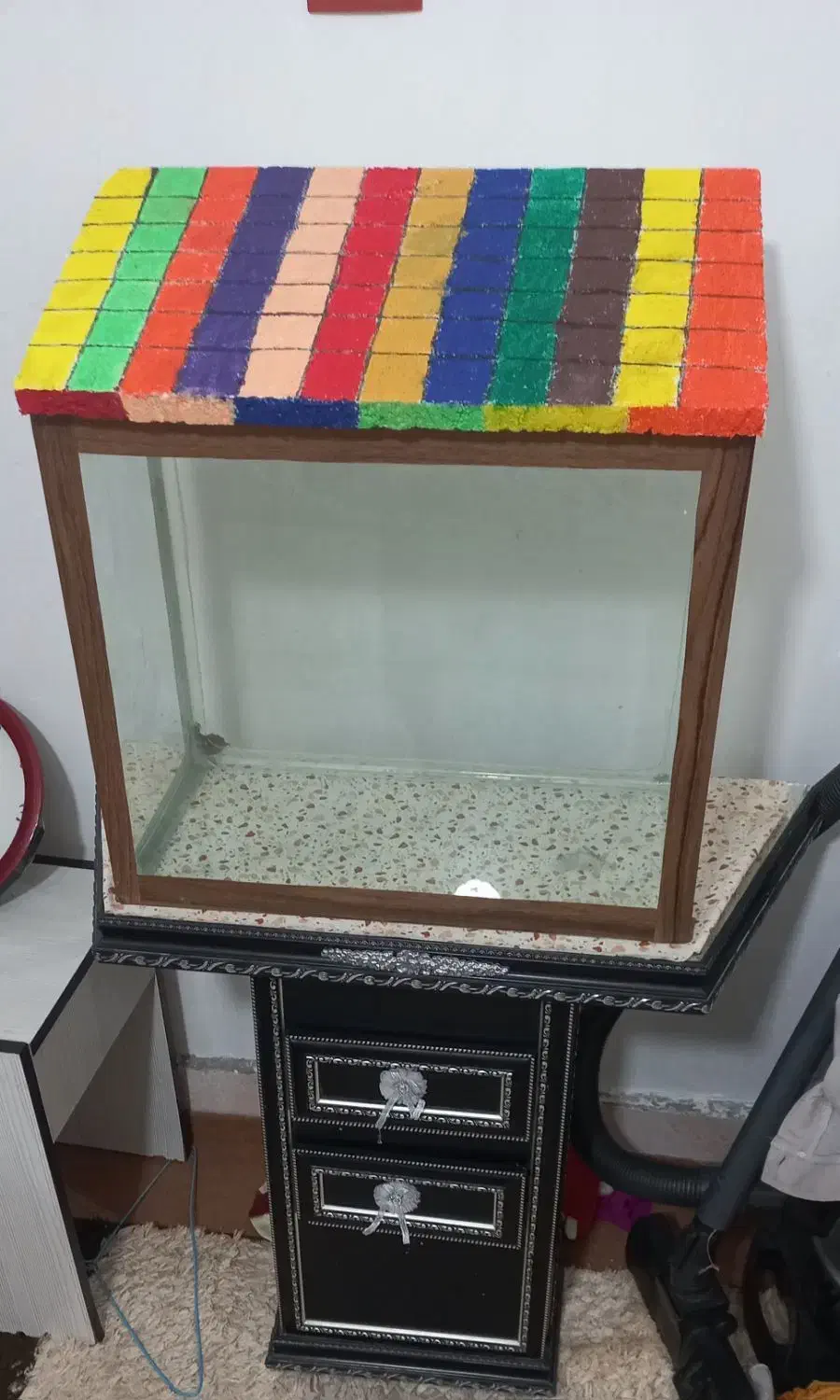 اکواریوم|ماهی|زاهدان, |دیوار