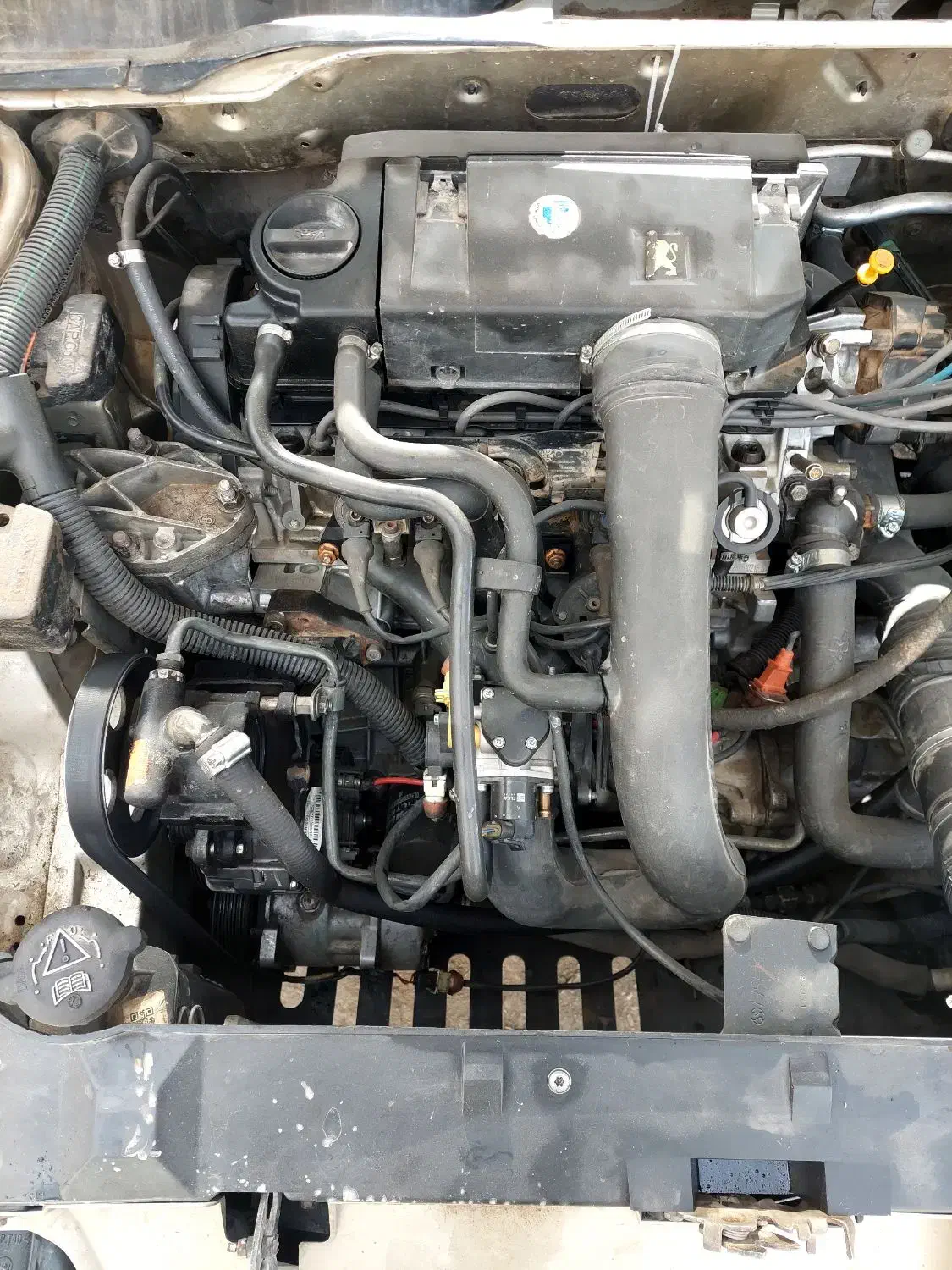 پژو ۴۰۵ مدل ۸۳|خودرو سواری و وانت|چناران, |دیوار