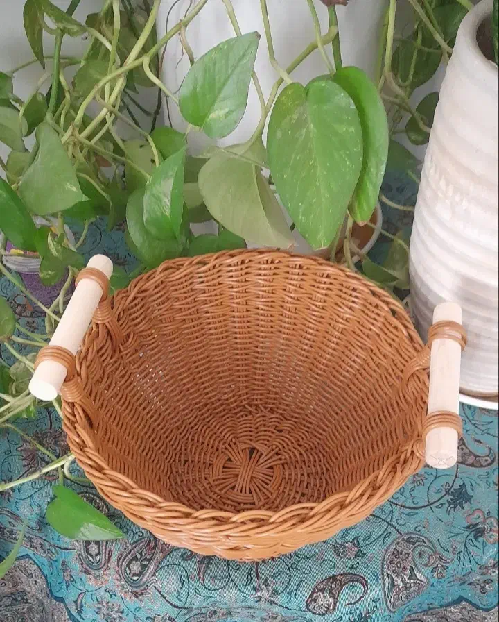 انواع جاسبزی|صنایع دستی و سایر لوازم تزئینی|میناب, |دیوار