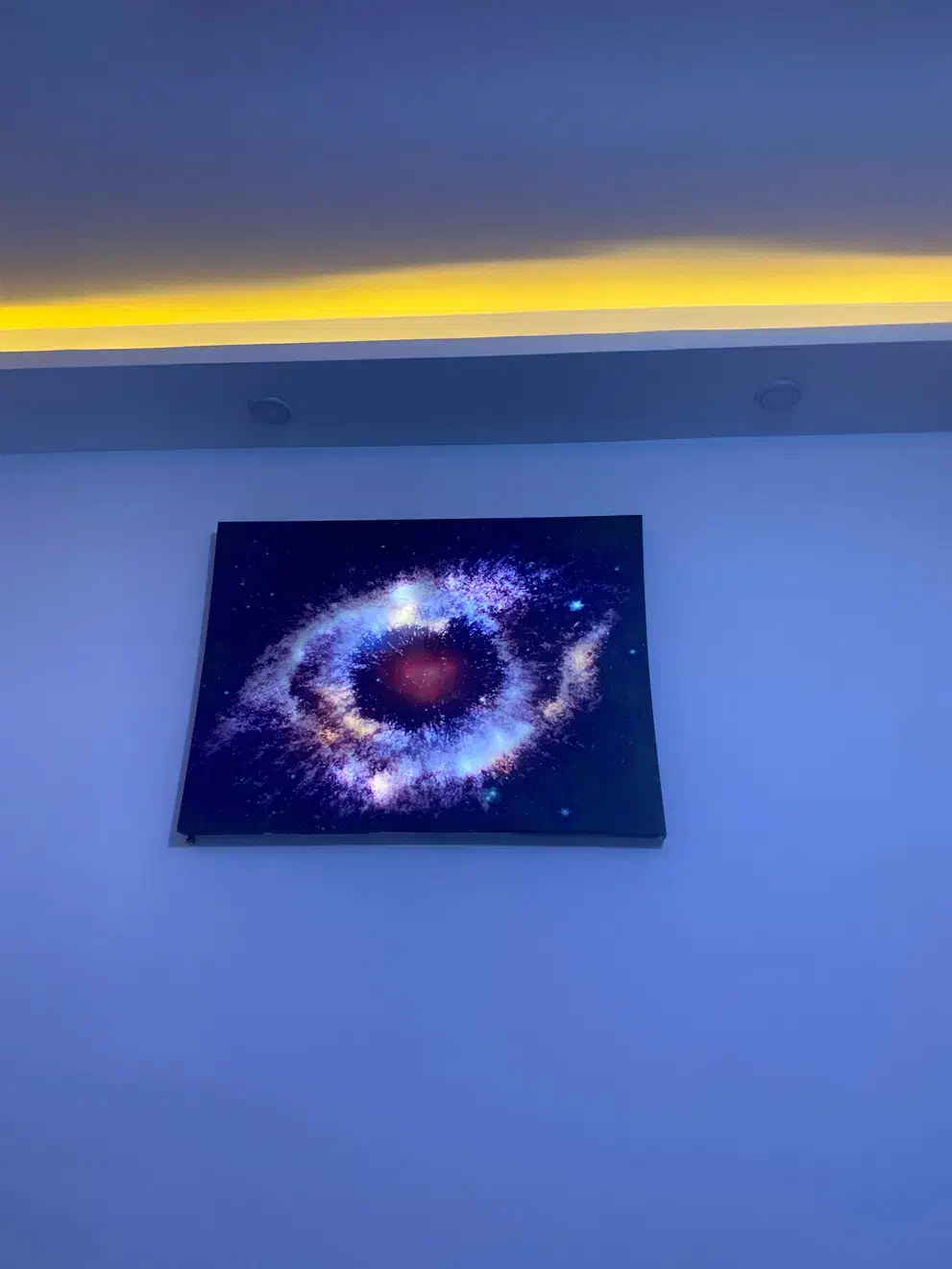 تابلو دیواری|تابلو، نقاشی، عکس|پرند, فاز ۶|دیوار