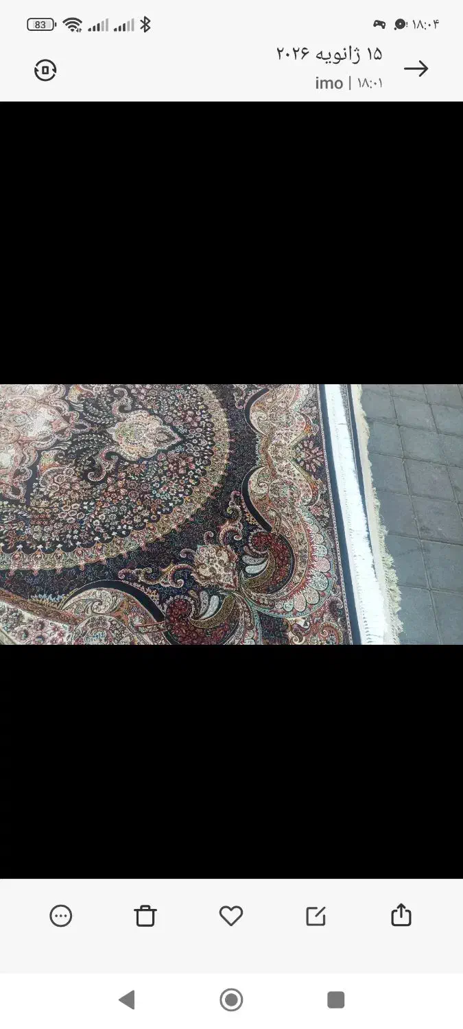 ۳عدد فرش ۶متری درحد نو هستن ۱۰۰۰شانه مدل میخک|فرش|قرچک, مهدیه|دیوار