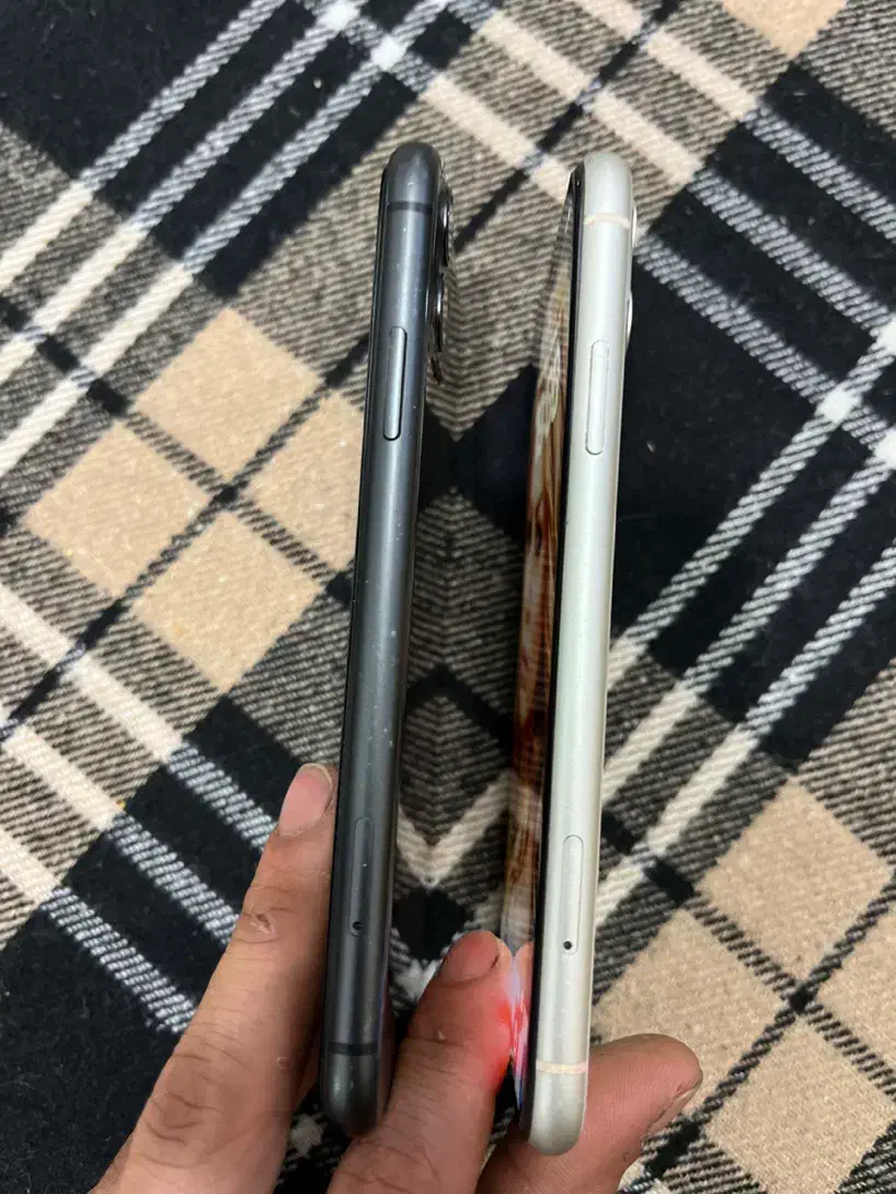 دو عدد آیفون 11 نرمال مشکی و سفید|موبایل|رشت, هلال احمر|دیوار