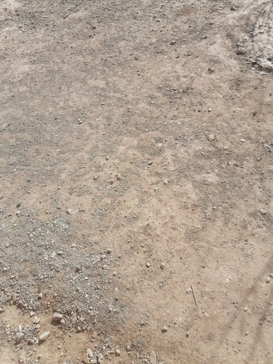 زمین|فروش زمین و ملک کلنگی|سلفچگان, |دیوار