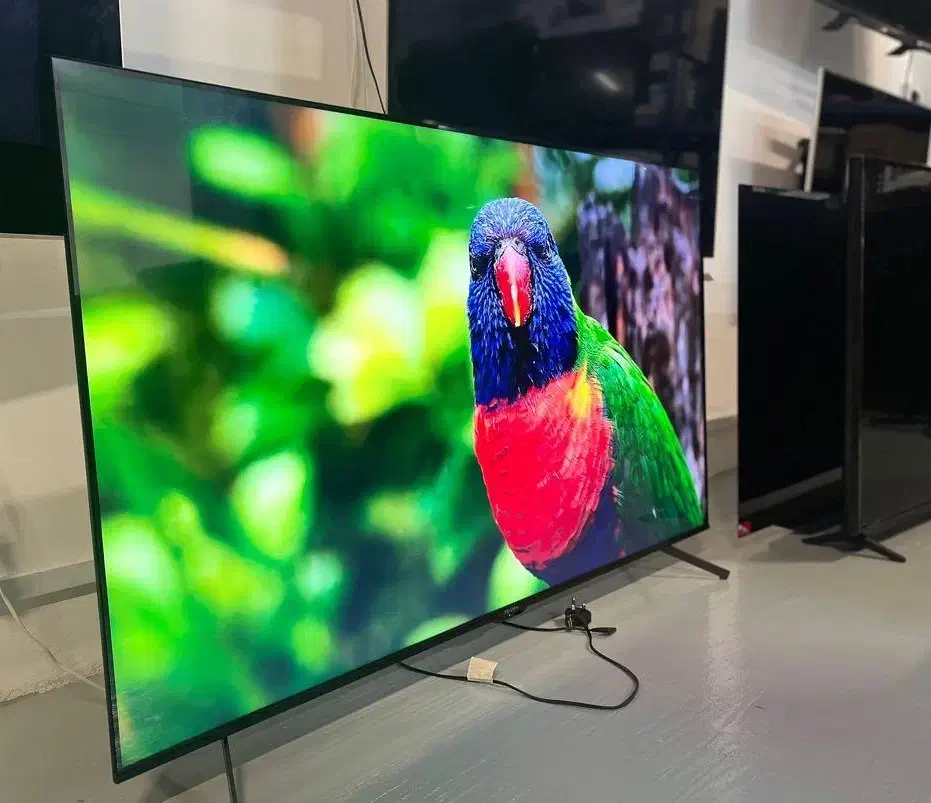 تلویزیون55اینچ4kپلمپ شرکتی هیمالیاباگارانتی۲سال|تلویزیون و پروژکتور|اهواز, پردیس دو|دیوار