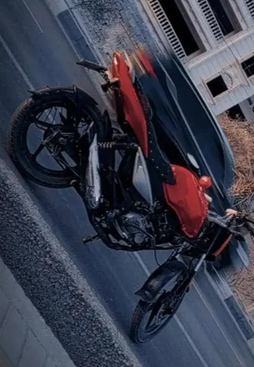 موتور 135|موتورسیکلت|بندرعباس, |دیوار