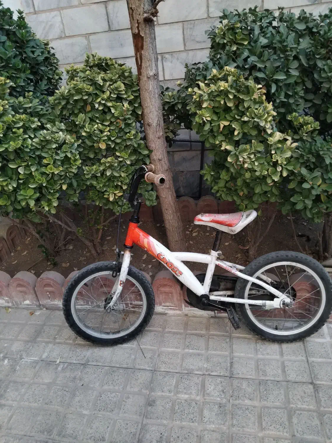 دوچرخه سایز۱۶ واسکوتر|دوچرخه، اسکیت، اسکوتر|کرج, بنیاد|دیوار