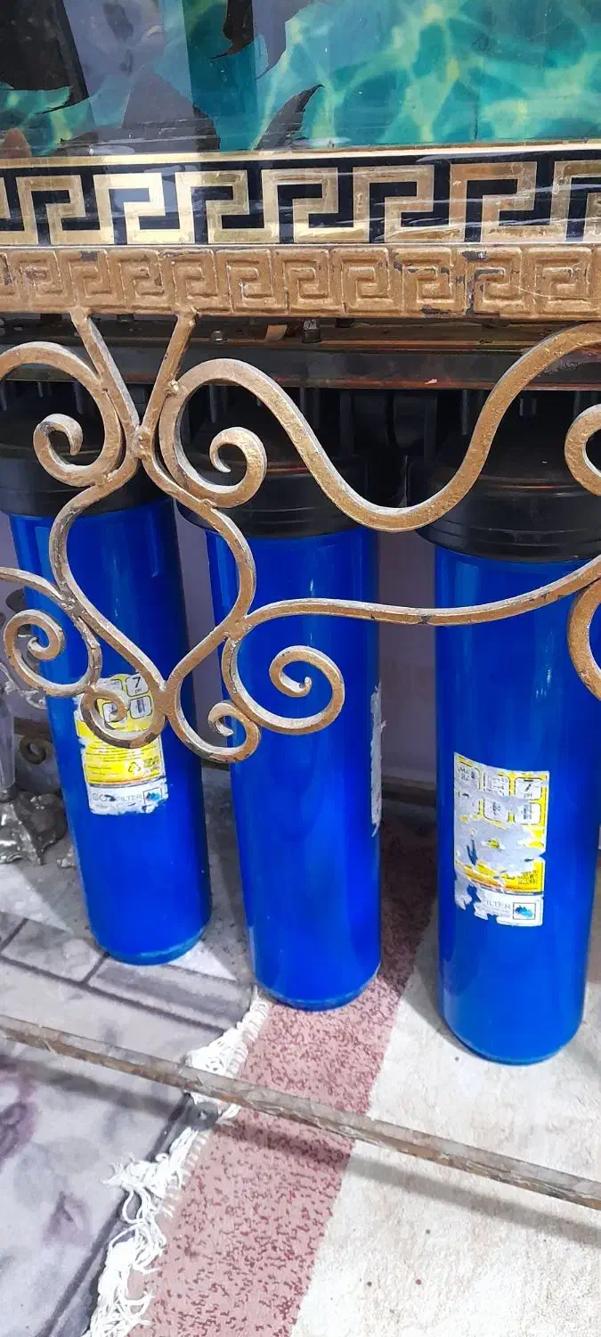 اکواریوم و ماهی|ماهی|تهران, مسعودیه|دیوار