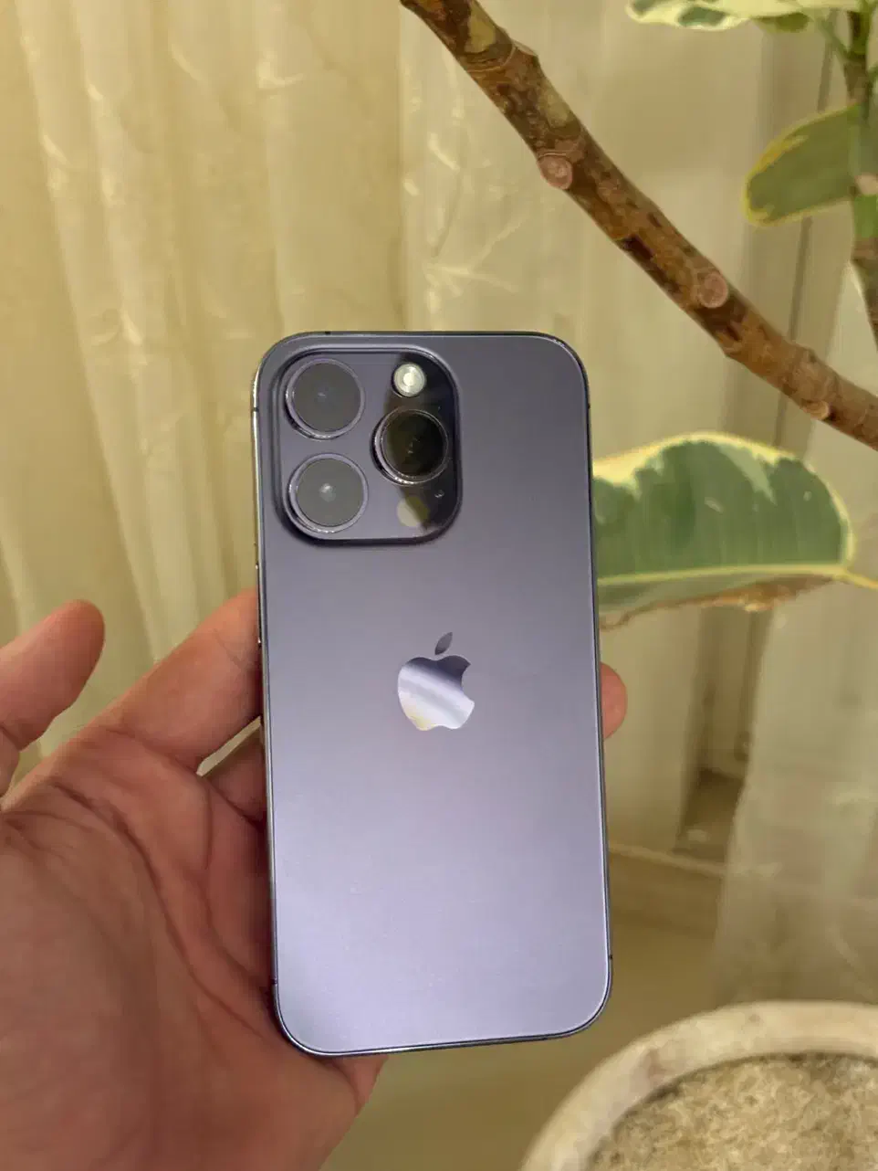 iPhone 14 Pro ZA/A|موبایل|مشهد, طلاب|دیوار