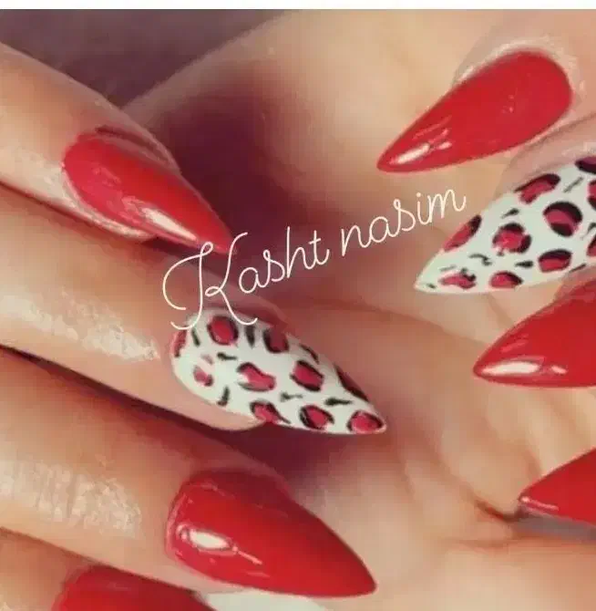 کاشت ناخن|خدمات آرایشگری و زیبایی|تبریز, |دیوار