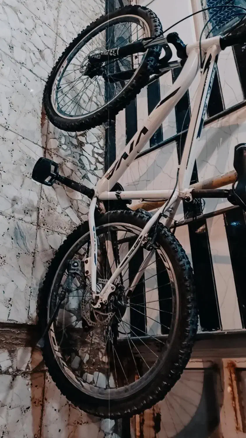 دوچرخه ویوا 26 درحد نو|دوچرخه، اسکیت، اسکوتر|باوی, |دیوار