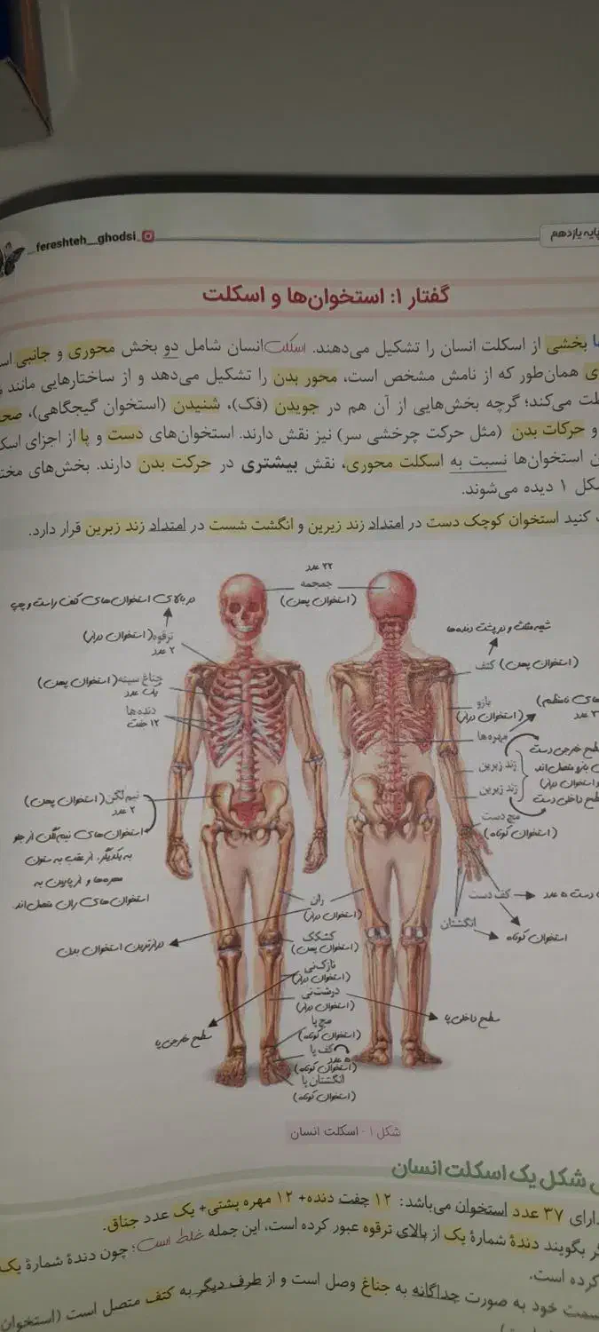 کتاب تست های کنکور معجزه مامان پاپلی|کتاب و مجله آموزشی|شهریار, شهریار|دیوار