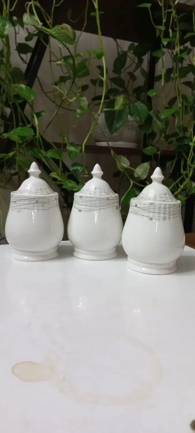 پاسماوری|ظروف نگهدارنده، پلاستیکی، یک‌بارمصرف|قم, شهرک امام حسن|دیوار