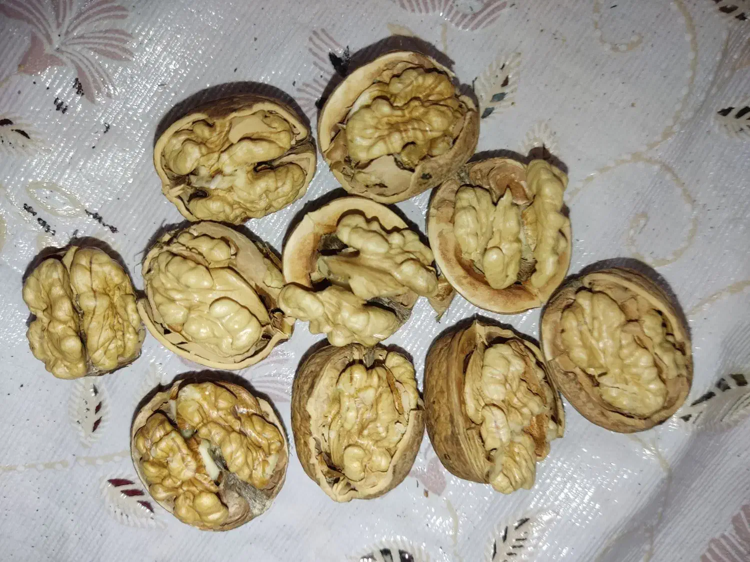 گردو درجه یک صادراتی تویسرکان|حراج|تویسرکان, |دیوار