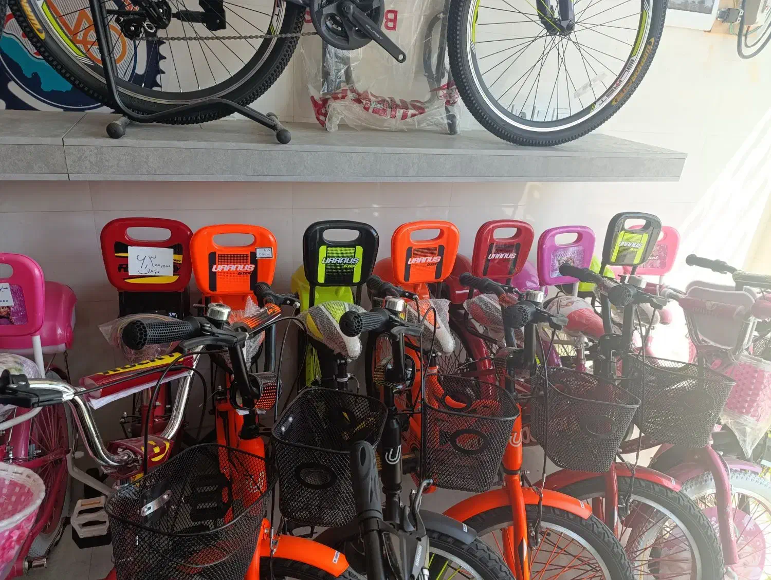 دوچرخه بچه گانه|دوچرخه، اسکیت، اسکوتر|برازجان, |دیوار