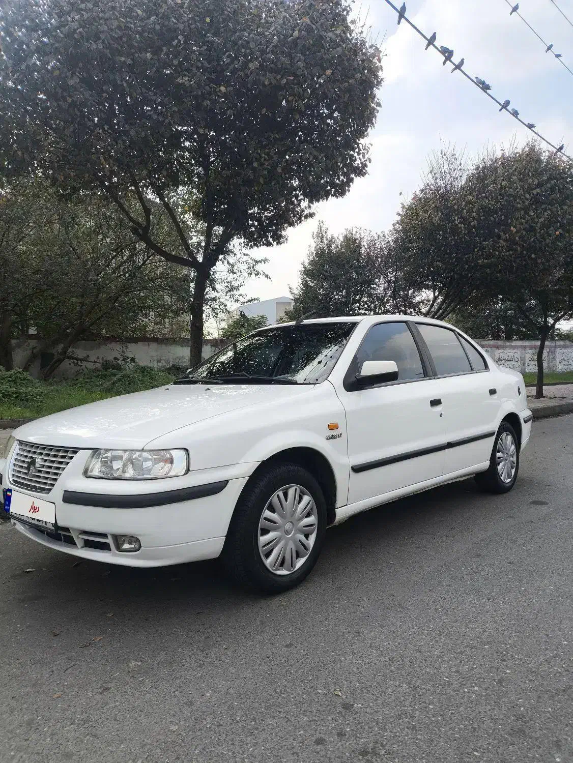 سمند EF7 دوگانه شرکتی مدل 97|خودرو سواری و وانت|رشت, شالکو|دیوار