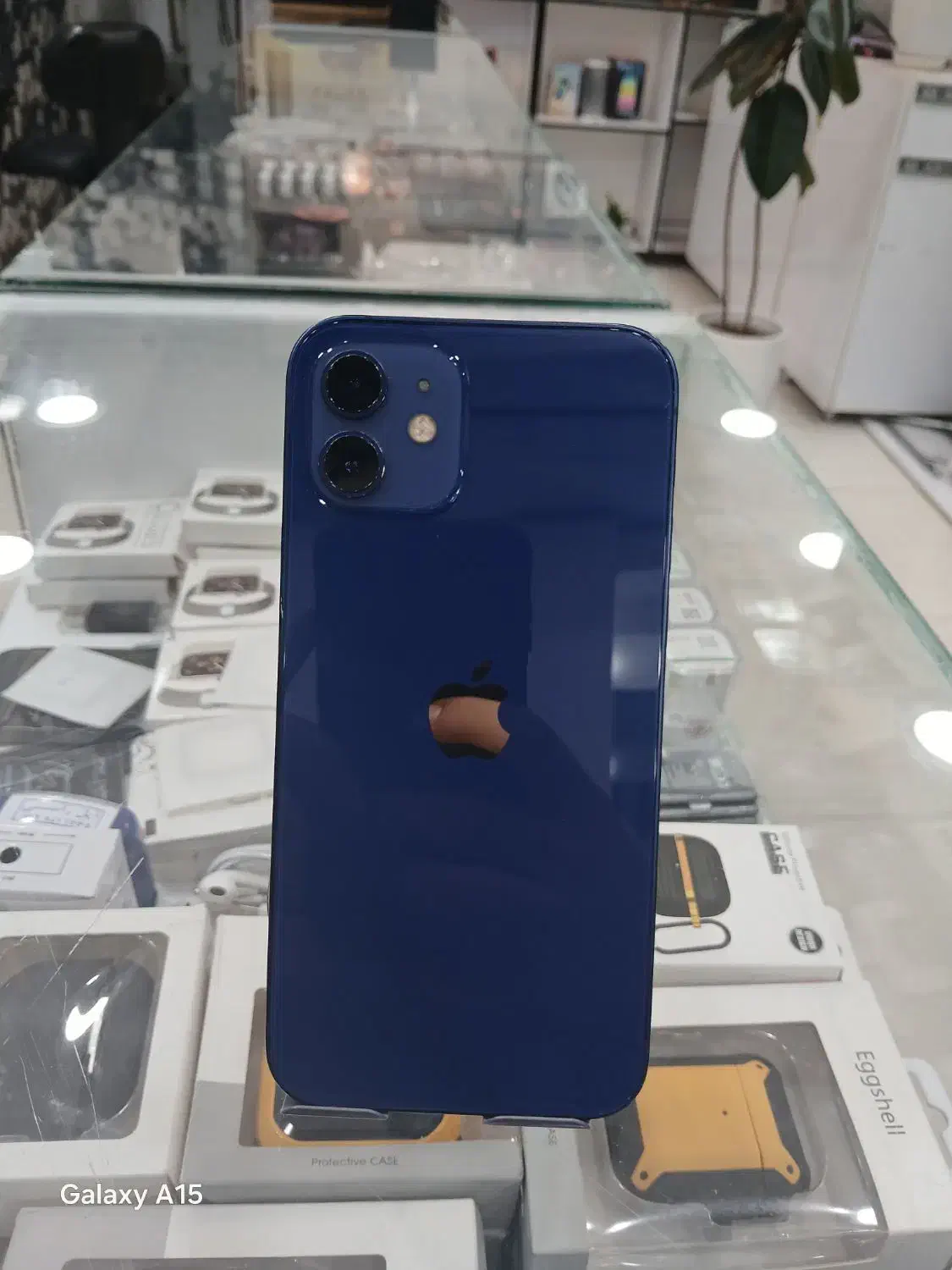 آیفون ۱۲ نرمال|موبایل|یاسوج, |دیوار