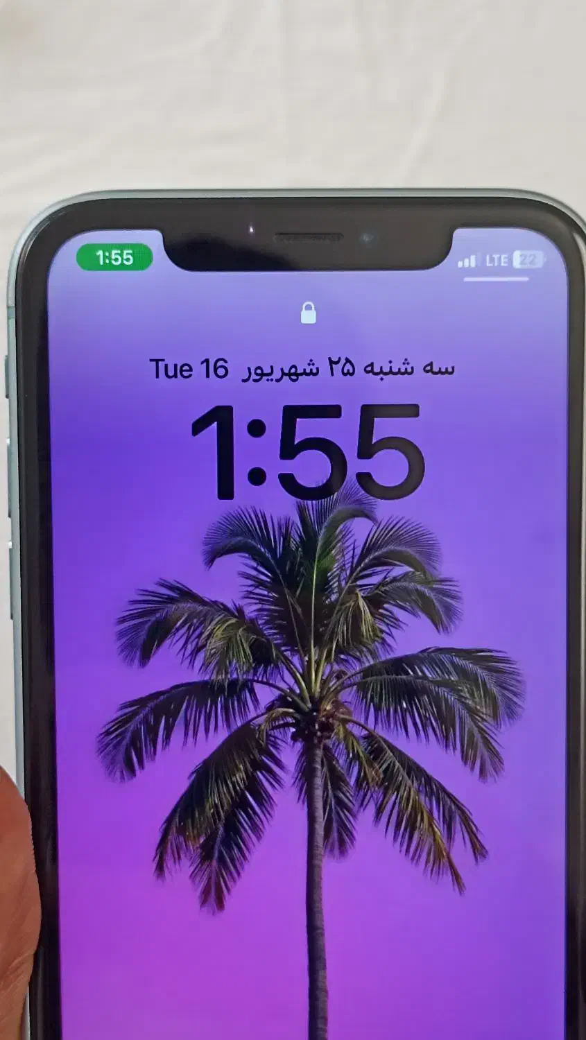 IPhone XR|موبایل|قم, هفت تیر|دیوار