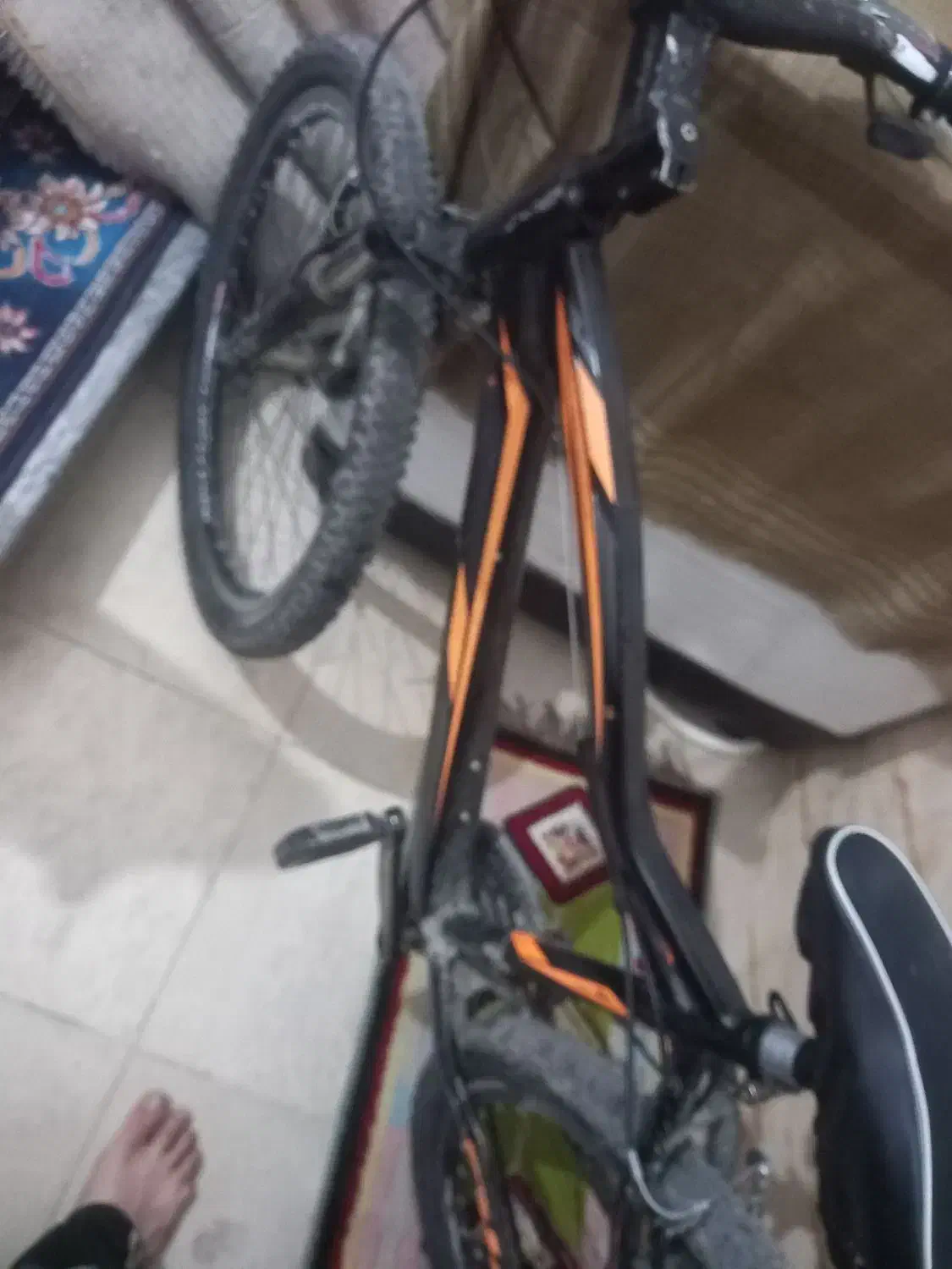 دوچرخه ۲۴ تنه بزرگ|دوچرخه، اسکیت، اسکوتر|رباط‌کریم, رباط‌کریم|دیوار