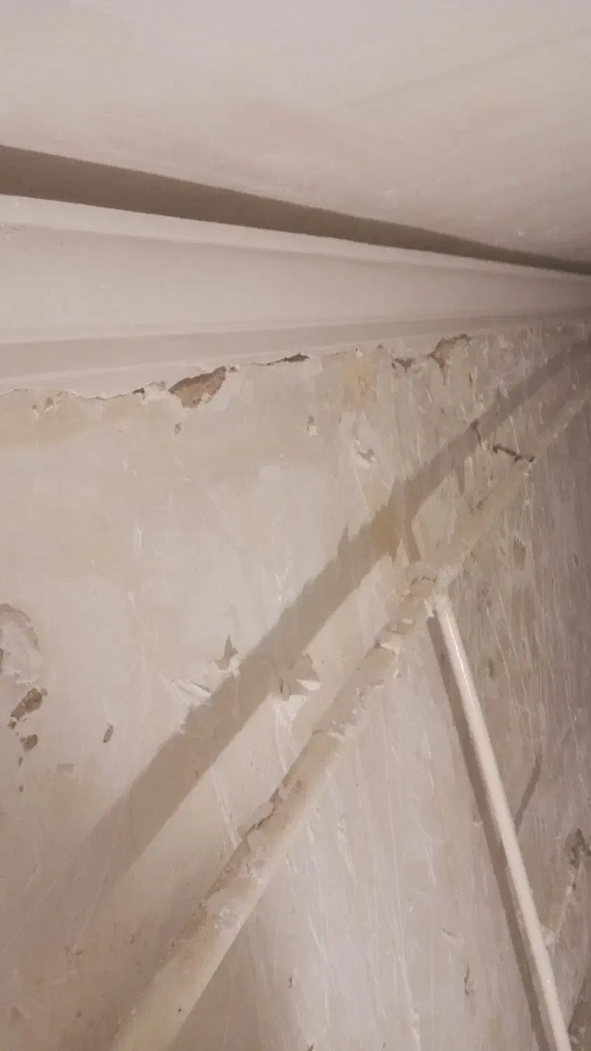 کار گچکاری و گچ خاک ولگه گیری درخدمتون هستم|خدمات پیشه و مهارت|بیجار, |دیوار