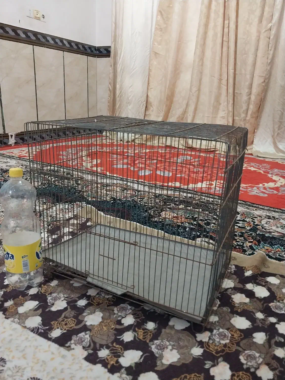 قفس پرنده|لوازم جانبی حیوانات|خرمشهر, |دیوار