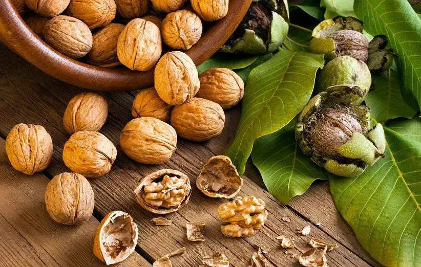 شکستن گردو در منزل|استخدام صنعتی، فنی، مهندسی|آذرشهر, |دیوار