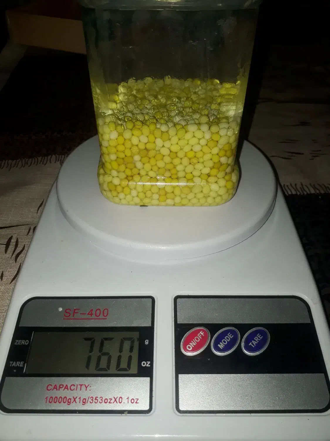 تخم حلزون|خزنده|تهران, دربند|دیوار