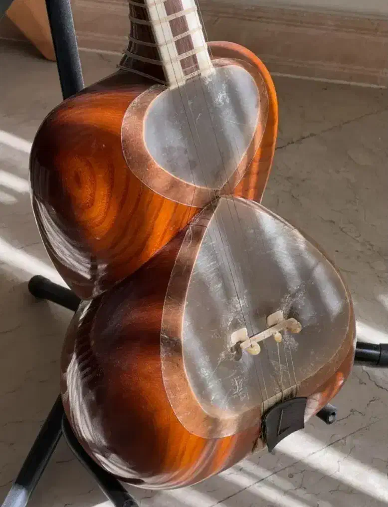 تار حرفه ای سالم|سازهای سنتی|تهران, آذری|دیوار