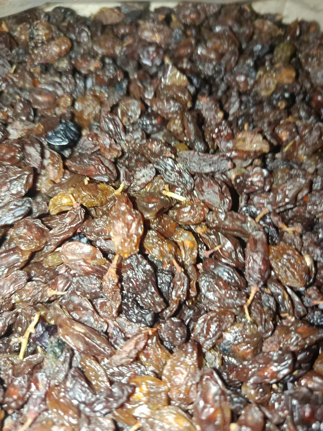 کشمش کاشمری|عمده‌فروشی|ملایر, |دیوار