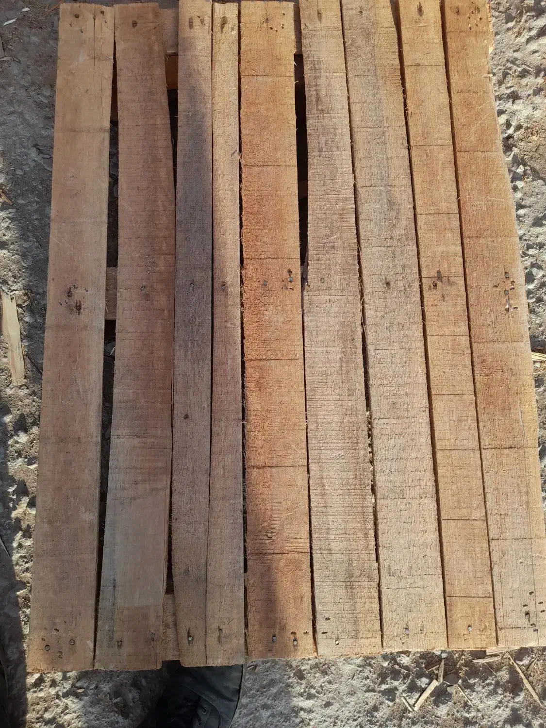 خریدوفروش پالت چوبی سالم وشکسته|عمده‌فروشی|قم, قلعه صدری|دیوار