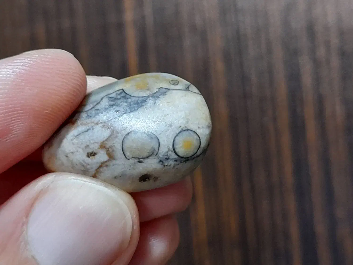 سنگ های عتیقه مصور کلکسیونی|کلکسیون اشیاء عتیقه|تهران, منیریه|دیوار