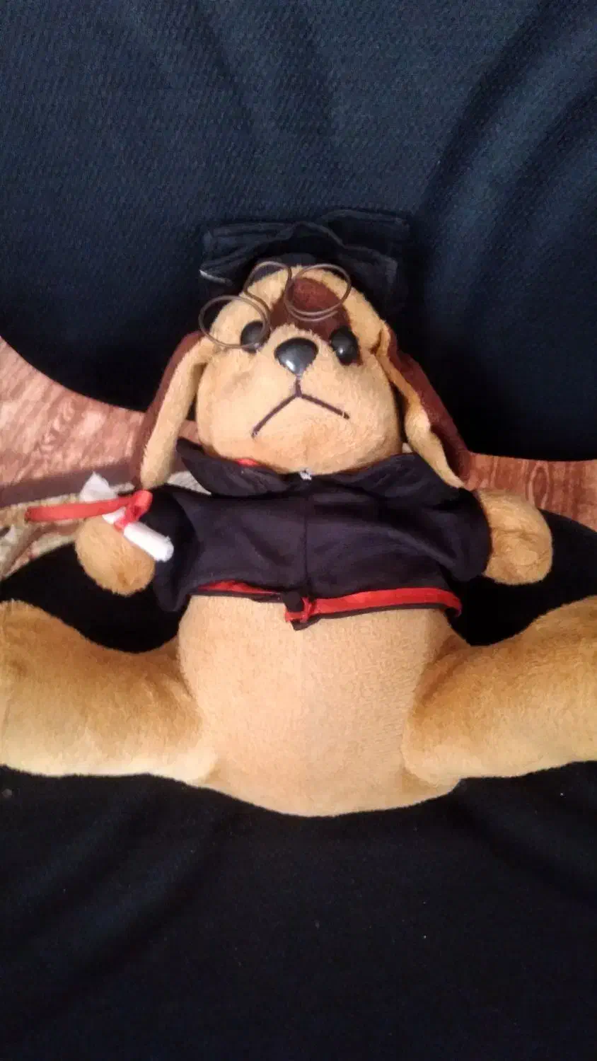 خرس|اسباببازی بچه|حمیدیا, |دیوار