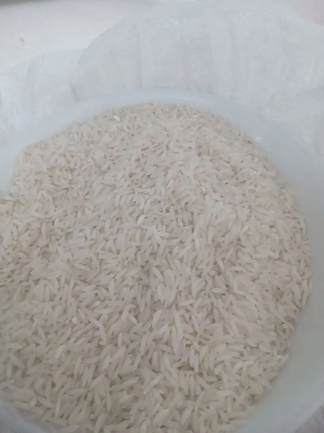 برنج هاشمی دره رود اصل سالم کیلوی ۳۲۰۰۰۰ تومان|خوردنی و آشامیدنی|انگوت, |دیوار