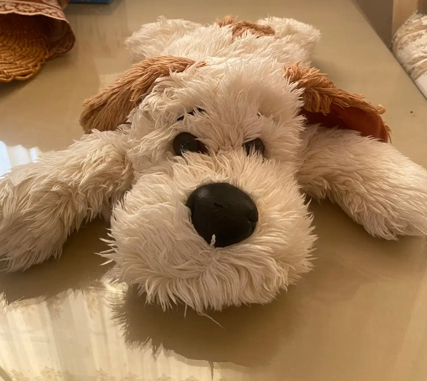 عروسک|اسباب‌‌بازی|رودسر, |دیوار