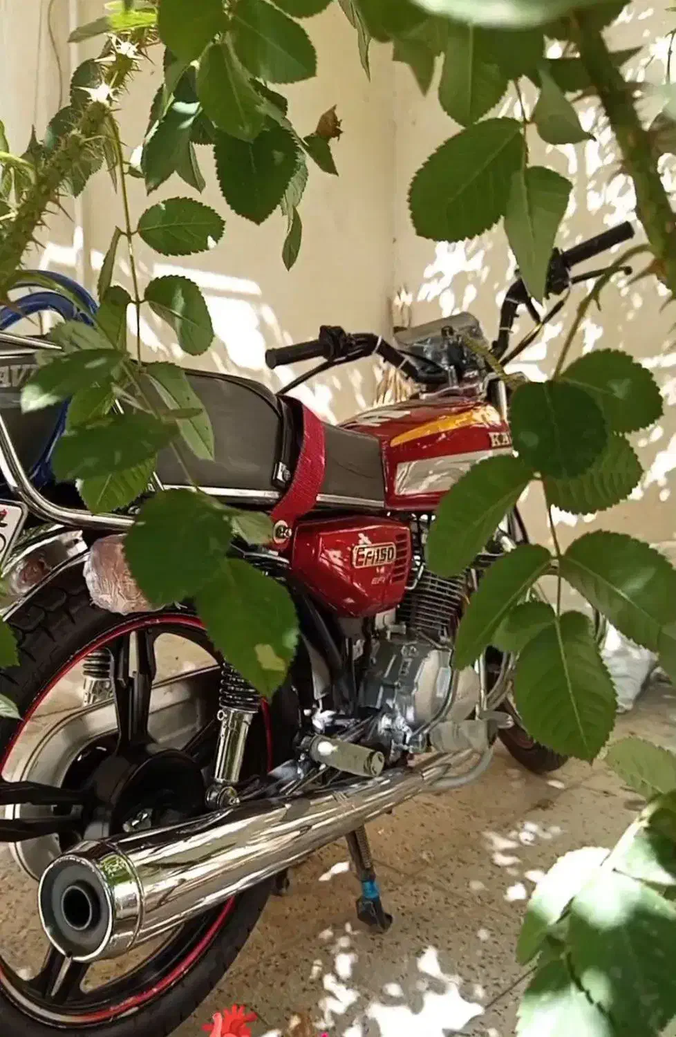 موتور کویر 150|موتورسیکلت|فامنین, |دیوار