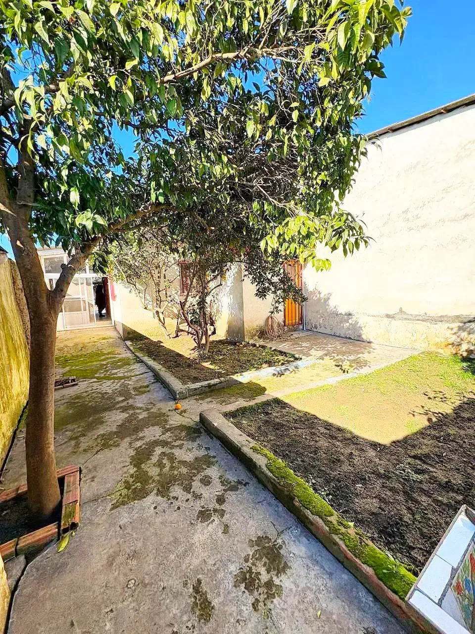 ویلاباغ۲۷۰متری/بافت مسکونی/۳کنتورنصب/اسنادکامل|فروش خانه و ویلا|فریدونکنار, |دیوار