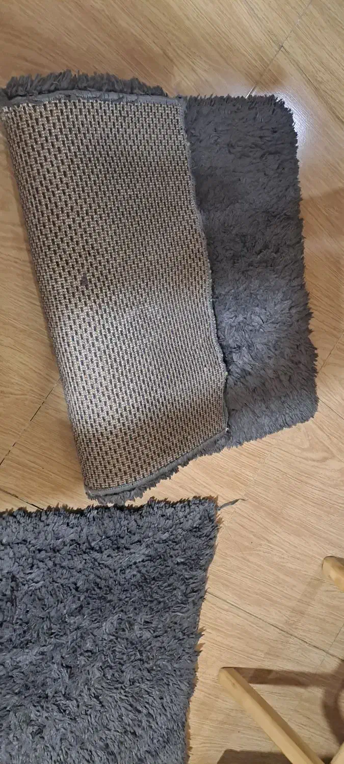 پادری خزدار در حد نو|پادری|رشت, حاجی آباد|دیوار