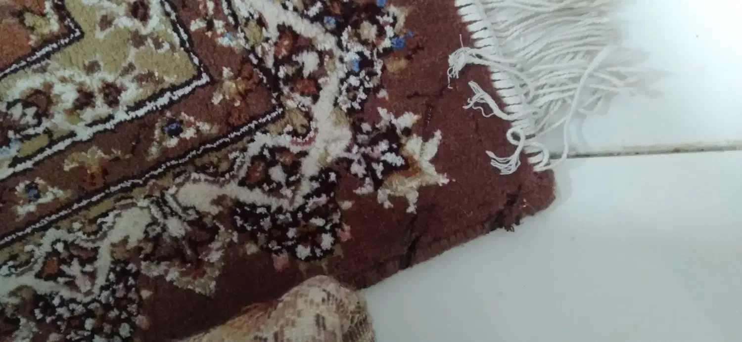 فرش ۱۲متری|فرش|جغتای, |دیوار