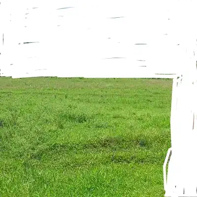 زمین کشاورزی سازمان اکبری کنارراه|فروش دفتر صنعتی، کشاورزی، تجاری|مینودشت, |دیوار