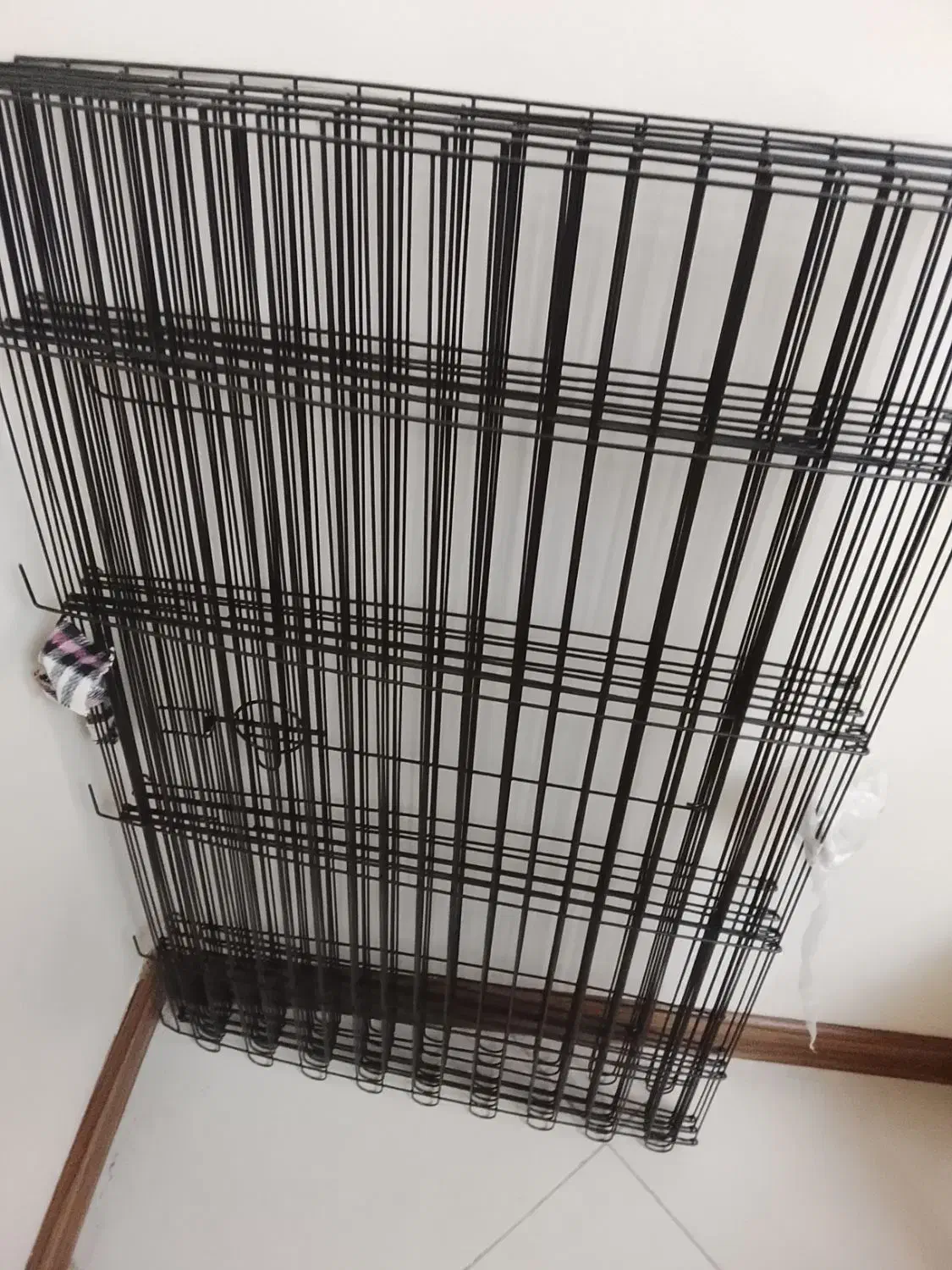 باکس مخصوص حیوانات|لوازم جانبی حیوانات|پردیس, فاز ۴|دیوار