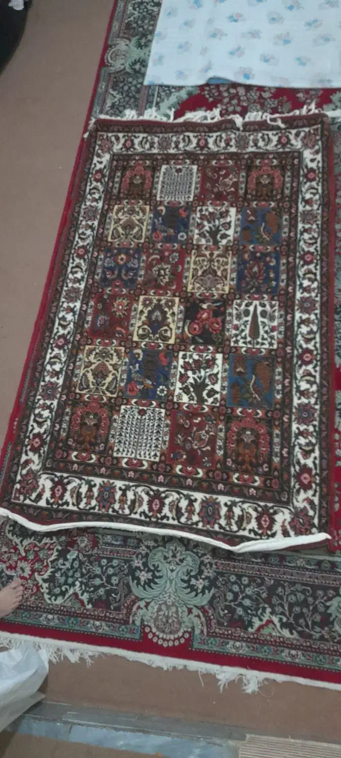 دو قالی دستباف|فرش|شهرکرد, |دیوار