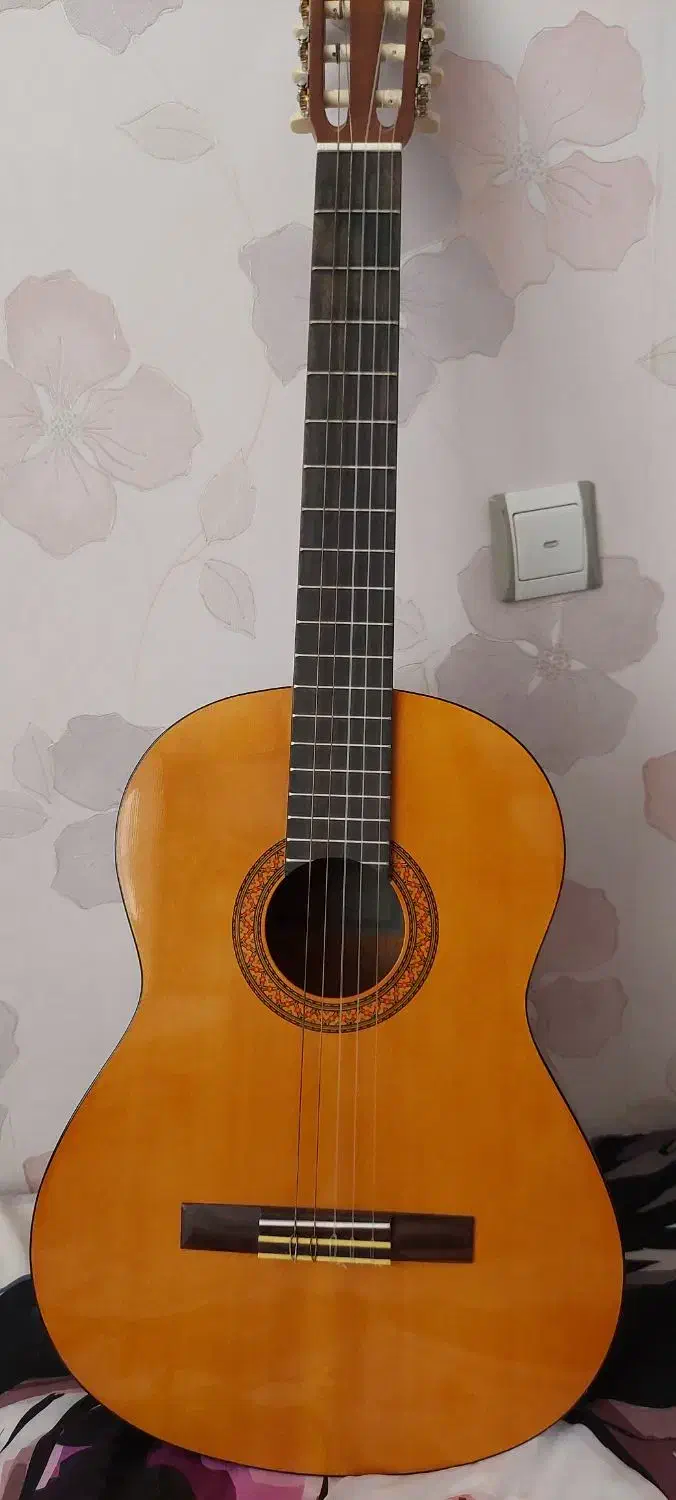 گیتار|گیتار، بیس، امپلیفایر|سهند, |دیوار