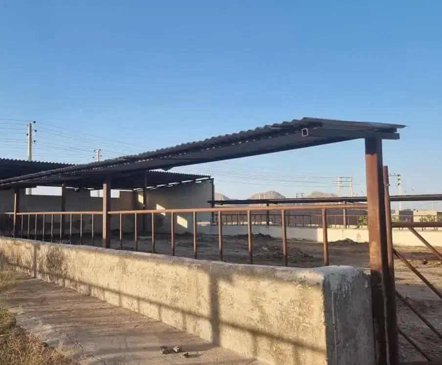 گاوداری ۵ هزار متری (فروش و معاوضه)با تمام مجوازات|فروش زمین و ملک کلنگی|شاهین‌شهر, حافظ جنوبی|دیوار