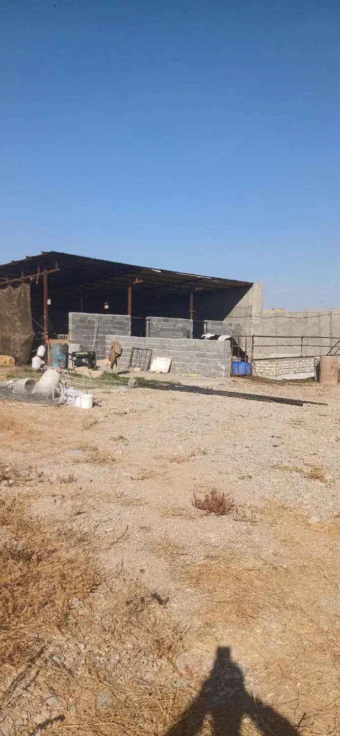 دامداری|فروش دفتر صنعتی، کشاورزی، تجاری|قوچان, |دیوار