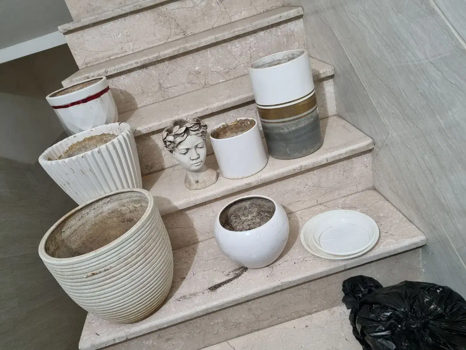 گلدان|گل و گیاه طبیعی|پاکدشت, پاکدشت (مامازند)|دیوار