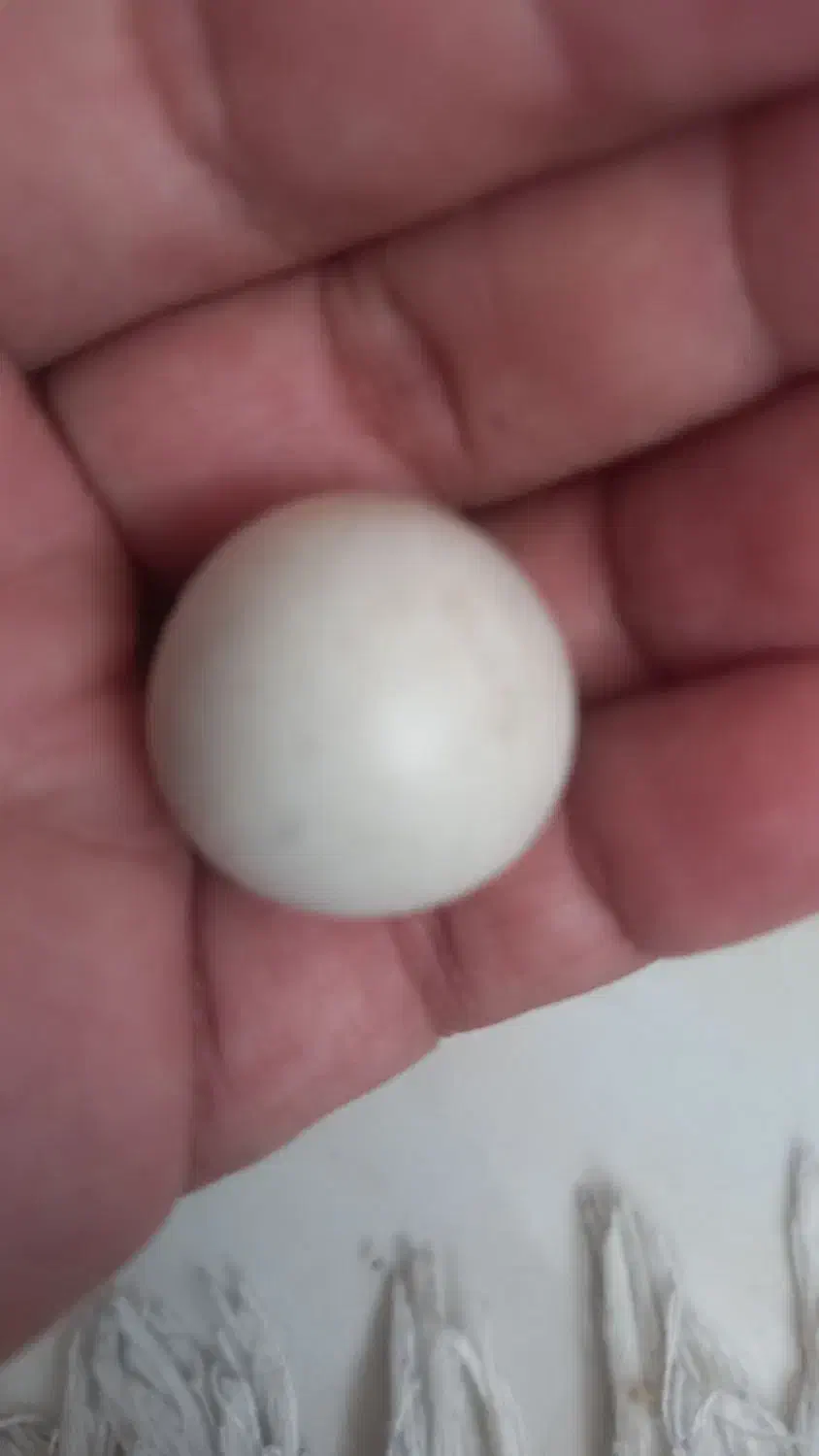 سنگ آسیاب فروشی با شهاب سنگ|جواهرات|تهران, افسریه جنوبی|دیوار