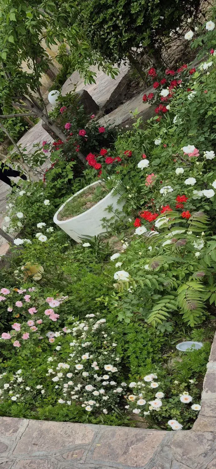 باغ ویلاشیک و منطقه لک لک،کلاکوب،گنبدواز|فروش خانه و ویلا|مشهد, لک لک|دیوار