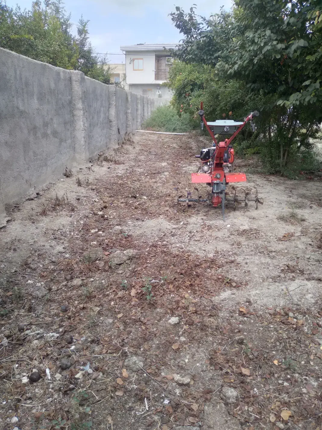 کار|خدمات باغبانی و درختکاری|گرگان, |دیوار