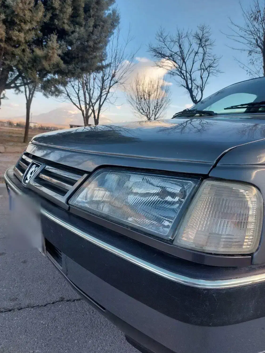 پژو 91شاسی پلمپ|خودرو سواری و وانت|دورود, |دیوار